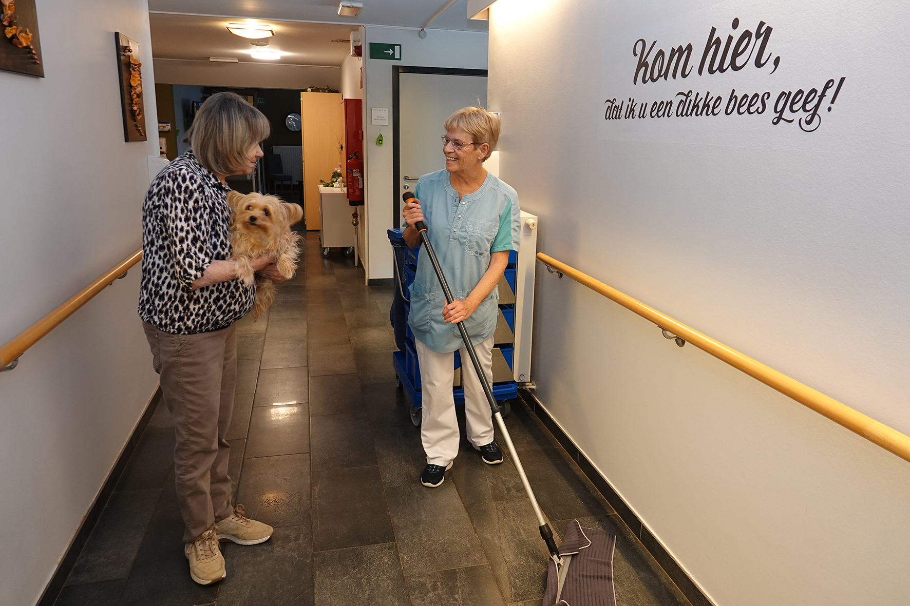 Miniature de la galerie