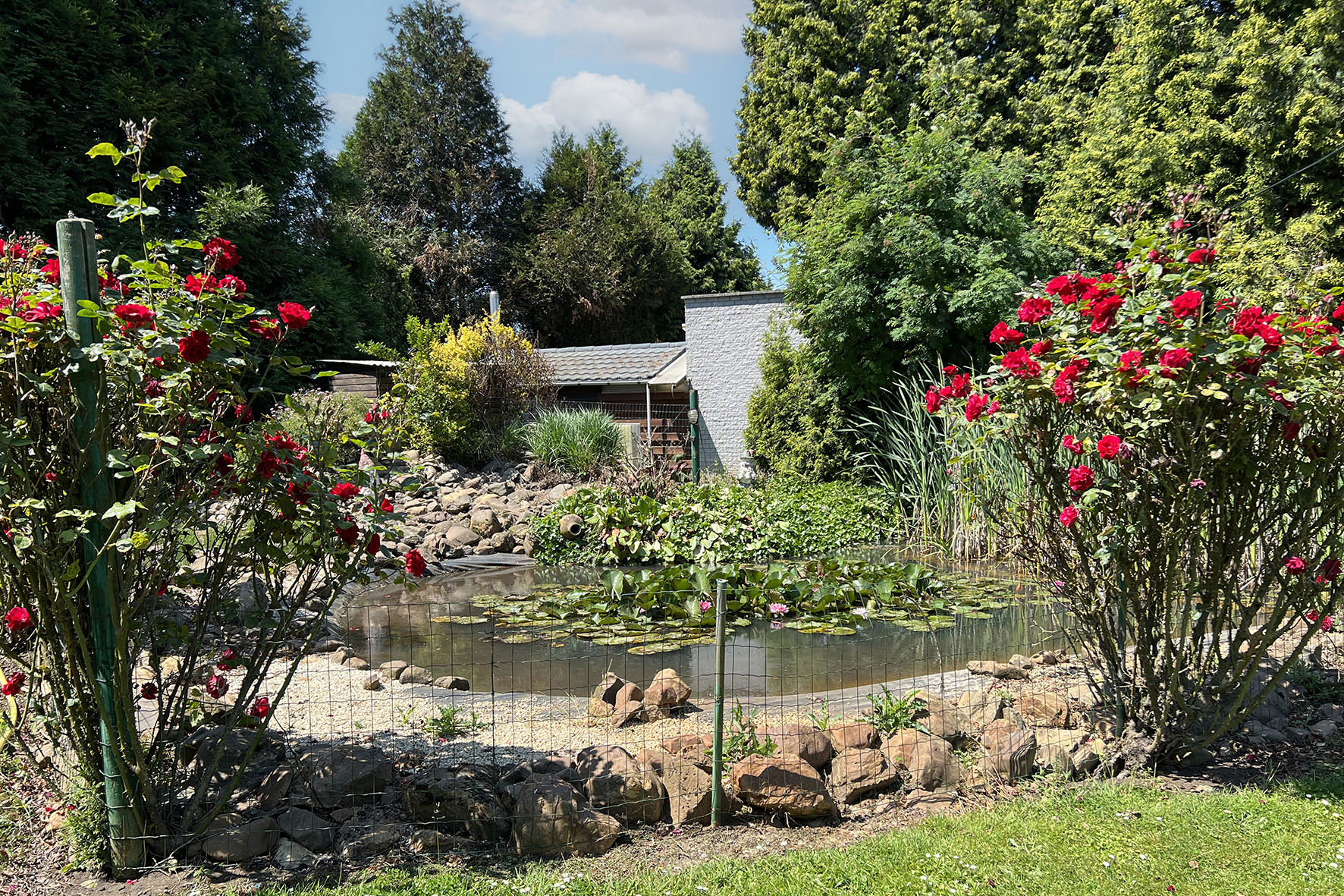 Miniature de la galerie