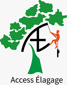 Access Élagage SARL Expert