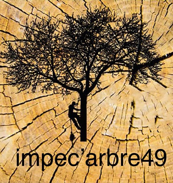 Impec'arbre 49 paysagiste conseil