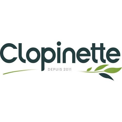Clopinette Cigarette Electronique Aubière