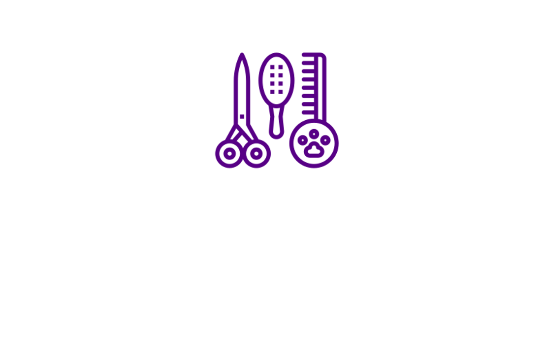 Wild Whiskers Pet Salon - Billings, MT