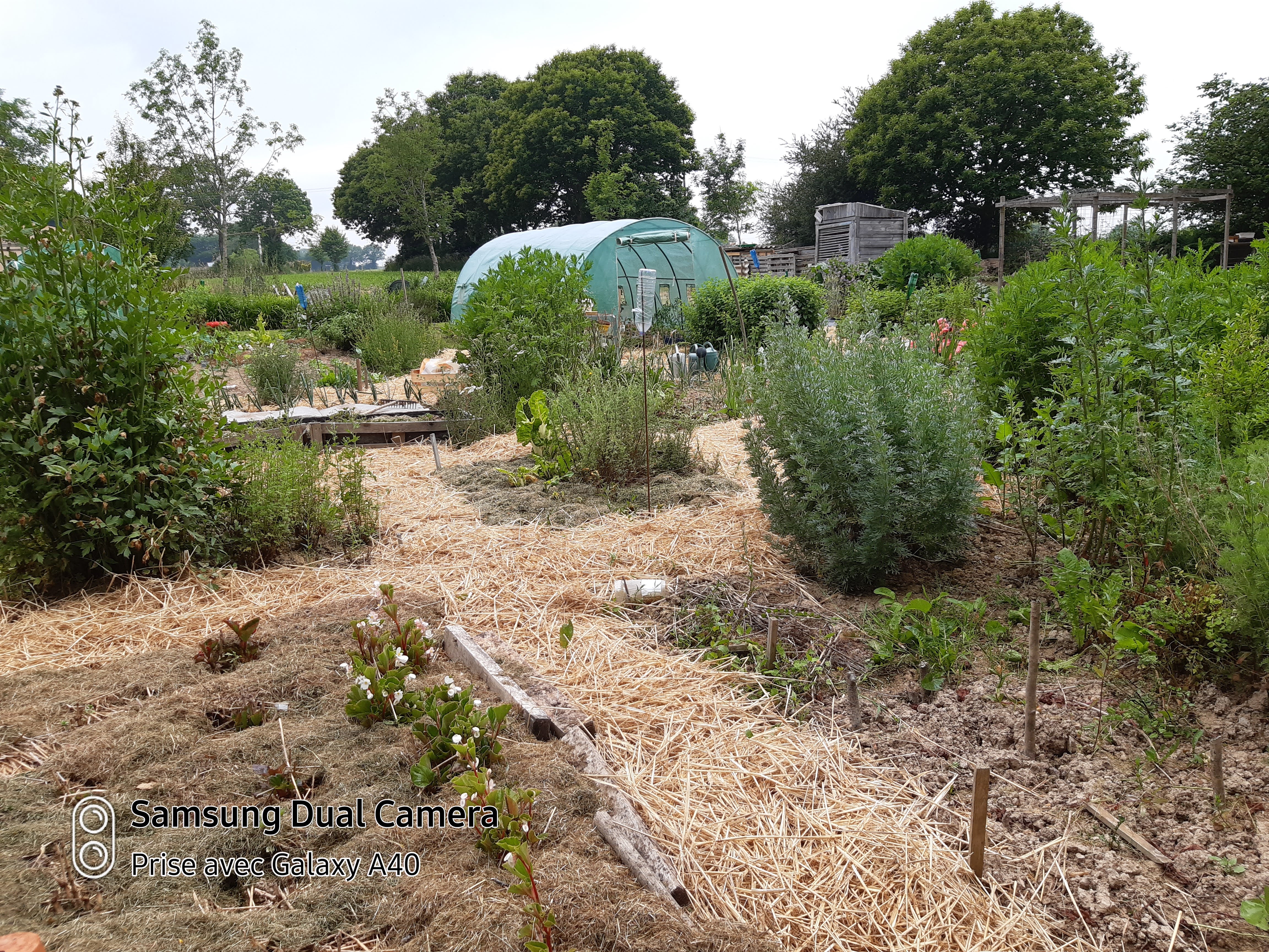 Miniature de la galerie