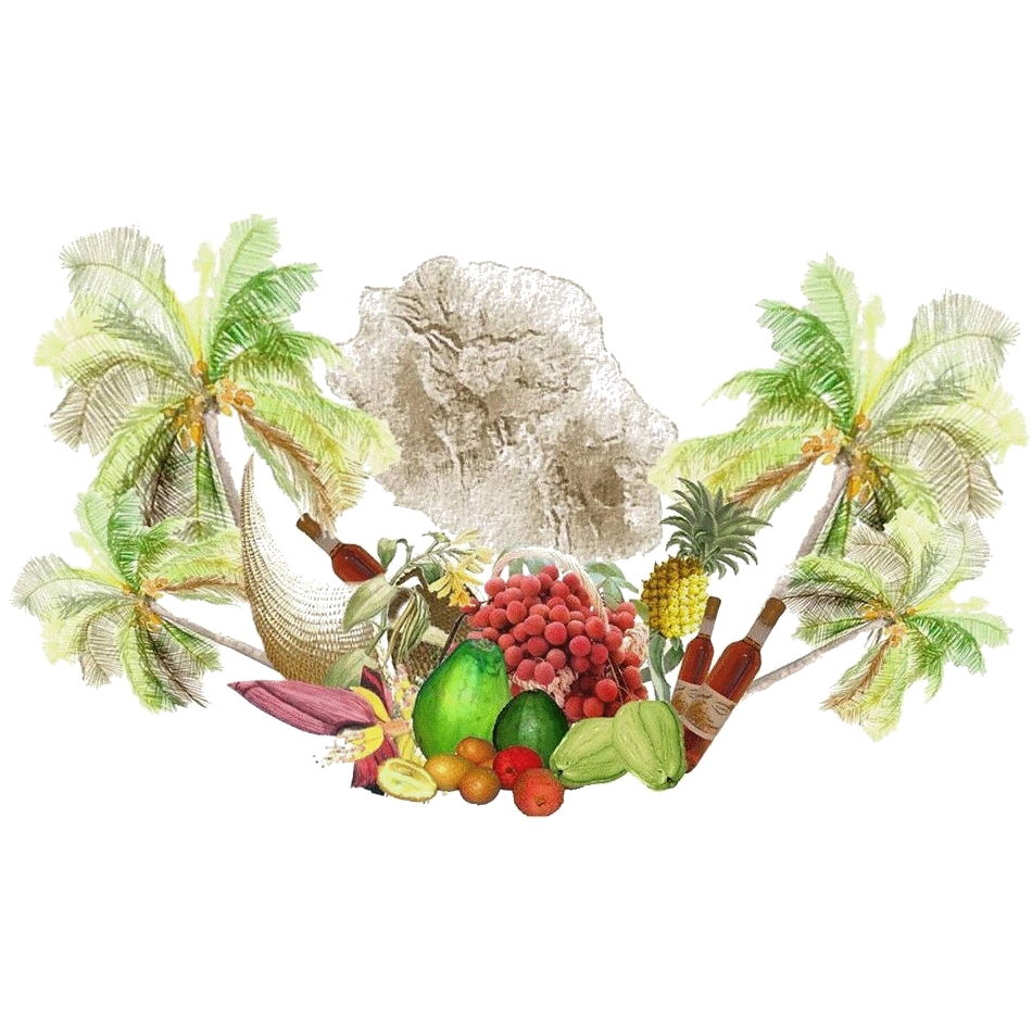 TI BEC FIN gourmandises-créoles épicerie (alimentation au détail)