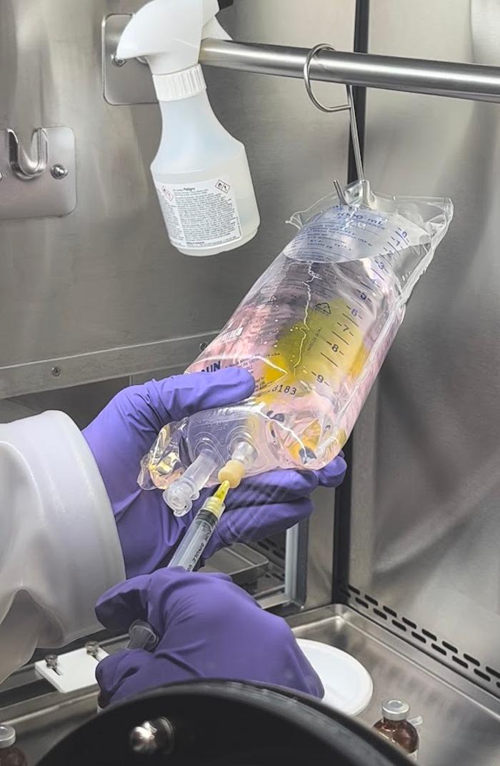 Michelle Gulizio, APRN-C - St. Johns, FL