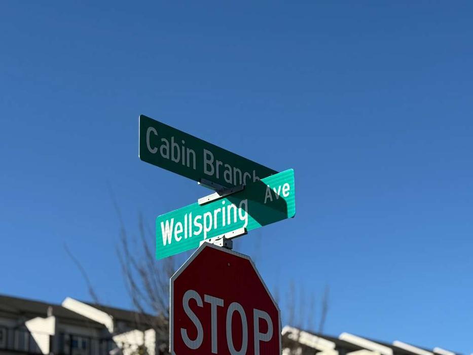 Rack Room Shoes Image