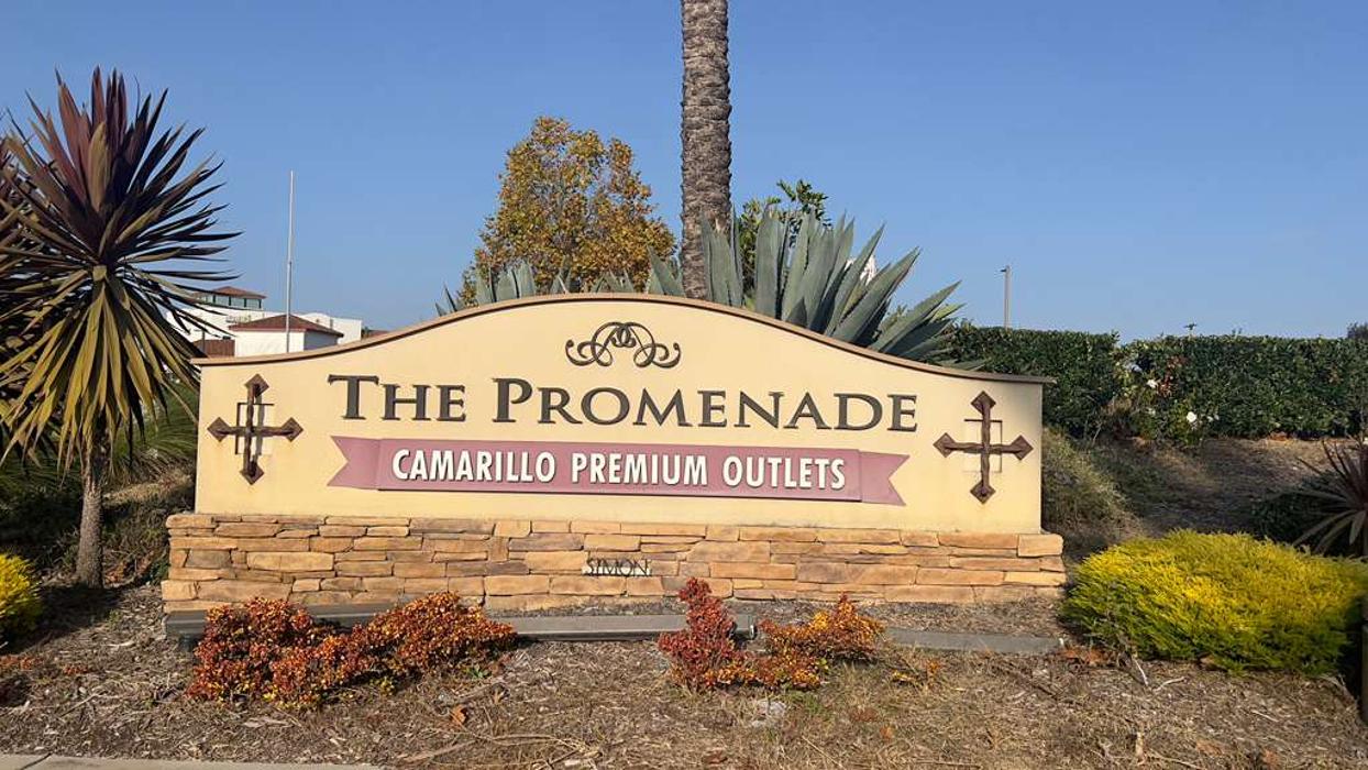 Rack Room Shoes Image