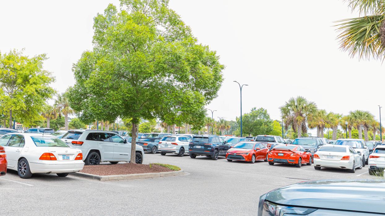 Rack Room Shoes Image