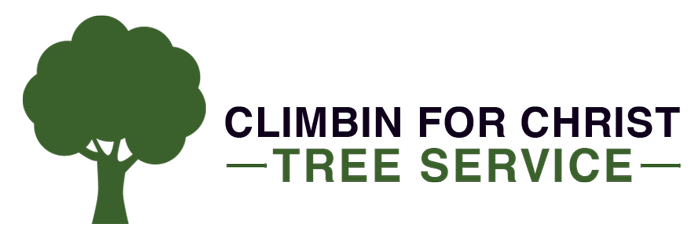 Climbing for Christ Tree Service - Titusville, FL - (321)362-1424 | ShowMeLocal.com