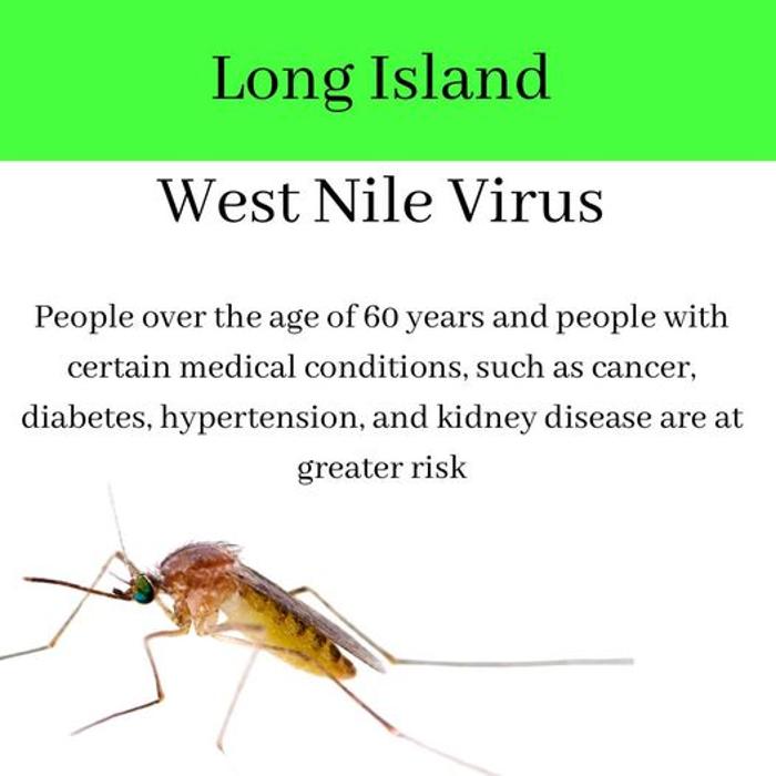 Mosquito Brothers - Hicksville, NY