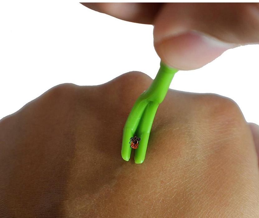 Mosquito Brothers - Hicksville, NY