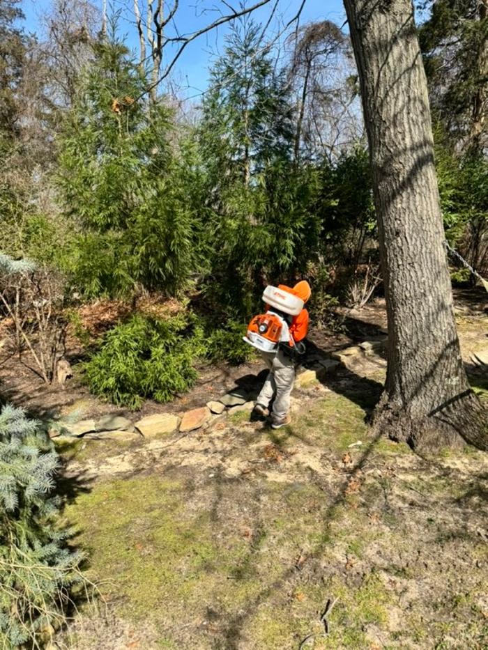 Mosquito Brothers - Hicksville, NY