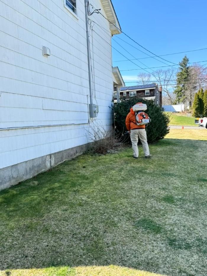 Mosquito Brothers - Hicksville, NY