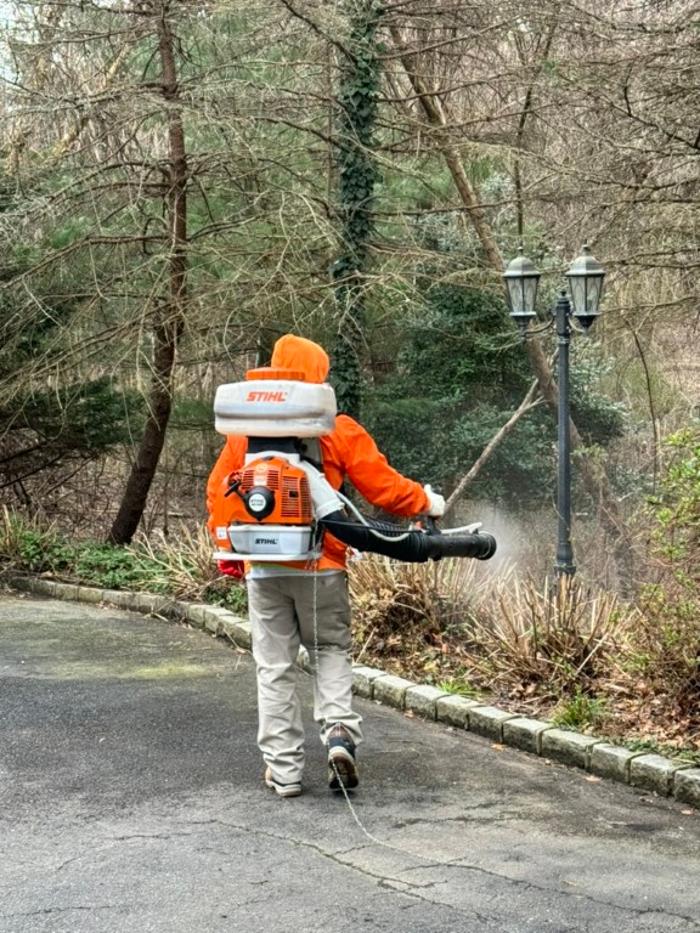 Mosquito Brothers - Hicksville, NY