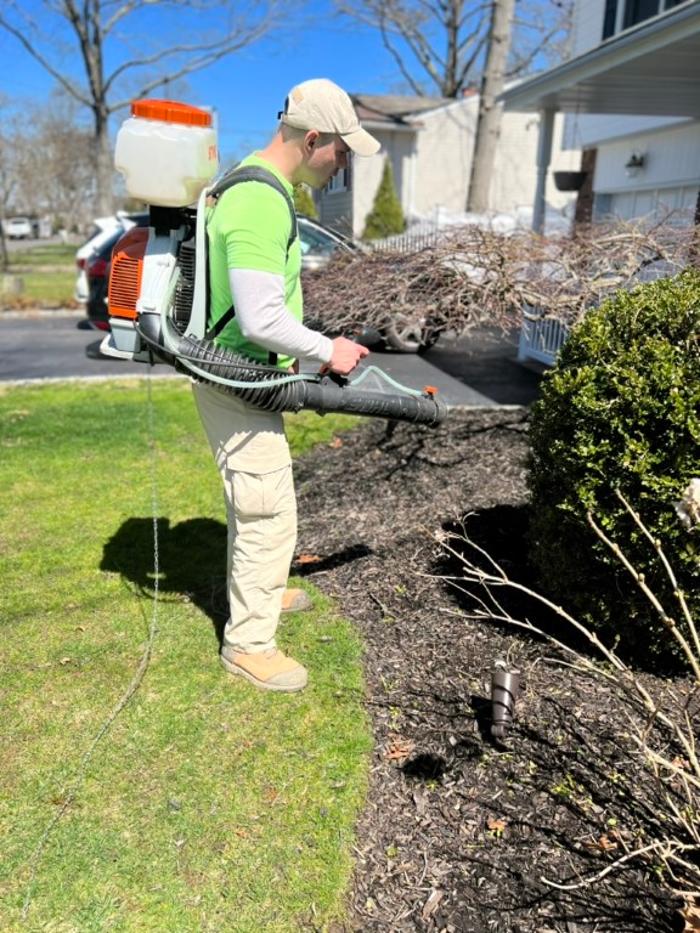 Mosquito Brothers - Hicksville, NY