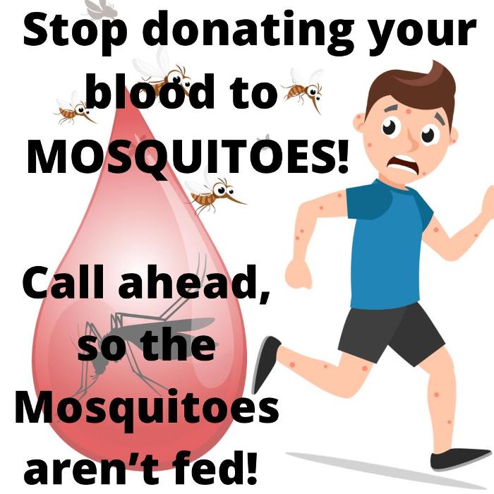 Mosquito Brothers - Hicksville, NY