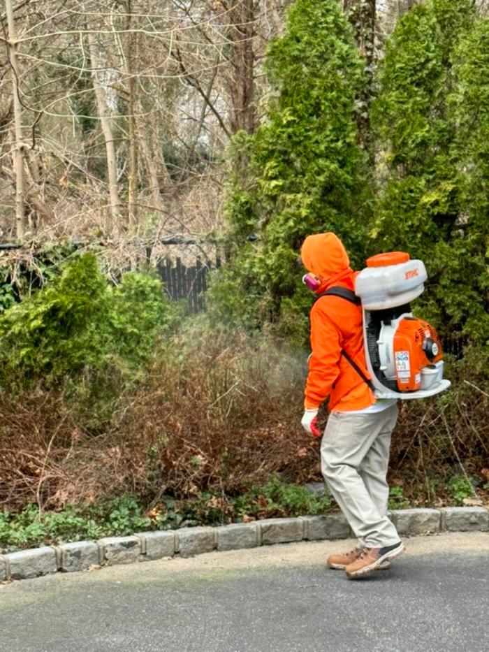 Mosquito Brothers - Hicksville, NY