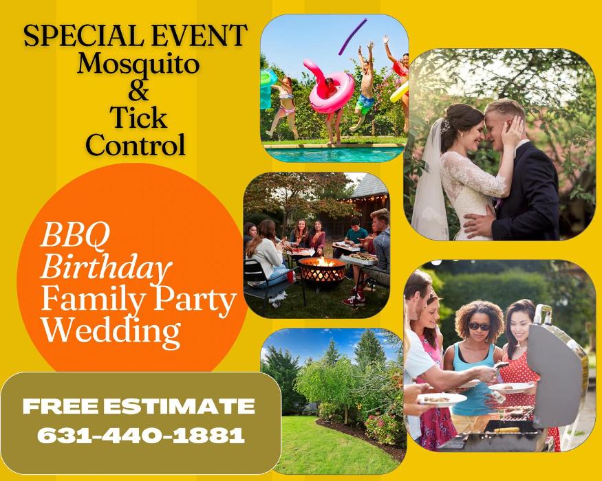 Mosquito Brothers - Hicksville, NY