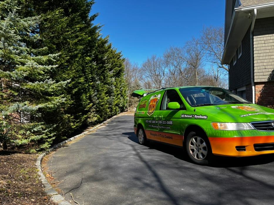 Mosquito Brothers - Hicksville, NY