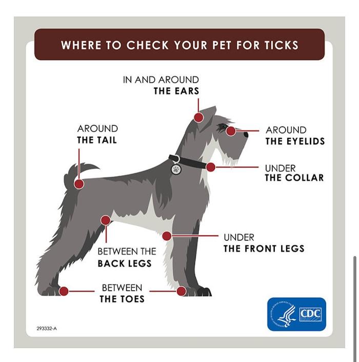 Mosquito Brothers - Hicksville, NY