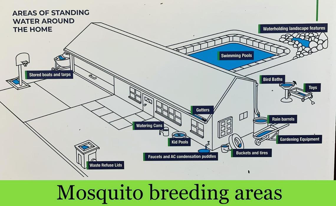 Mosquito Brothers - Hicksville, NY