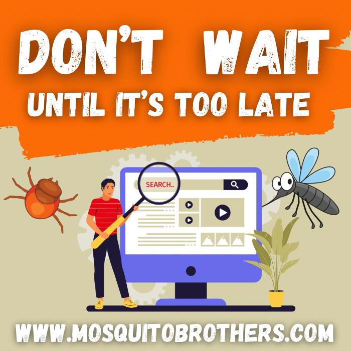 Mosquito Brothers - Hicksville, NY