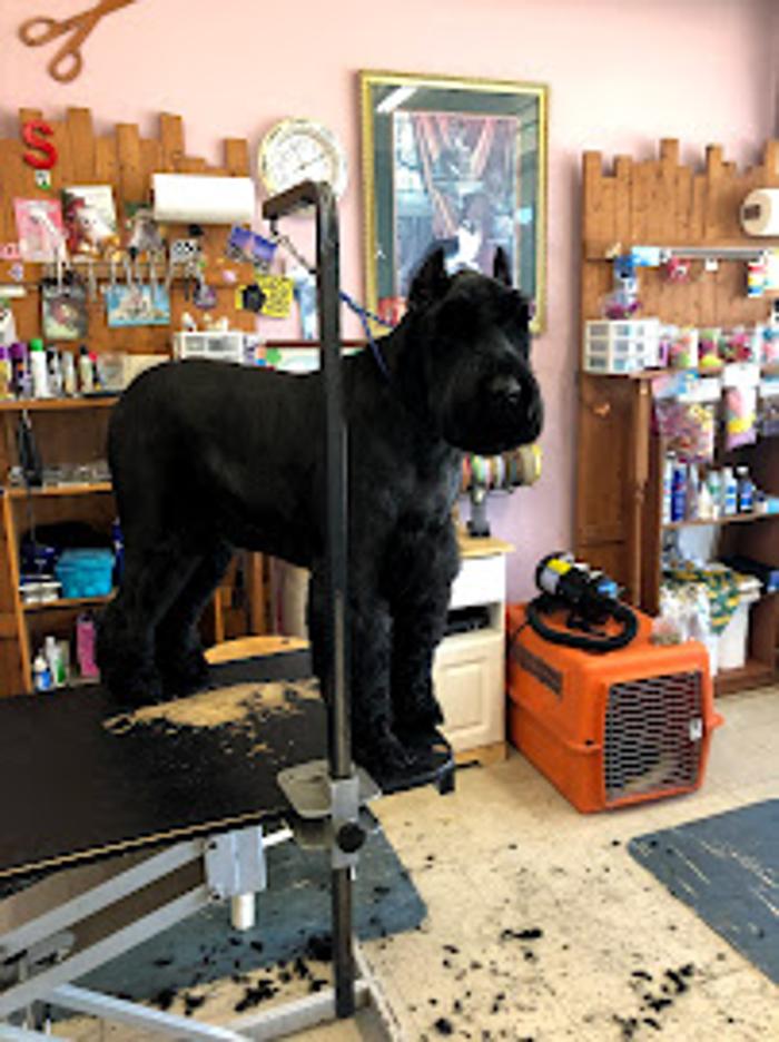 Tender Touch Grooming Salon - Milwaukee, WI