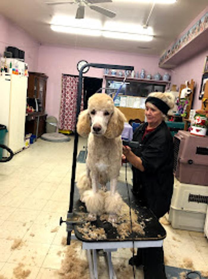 Tender Touch Grooming Salon - Milwaukee, WI