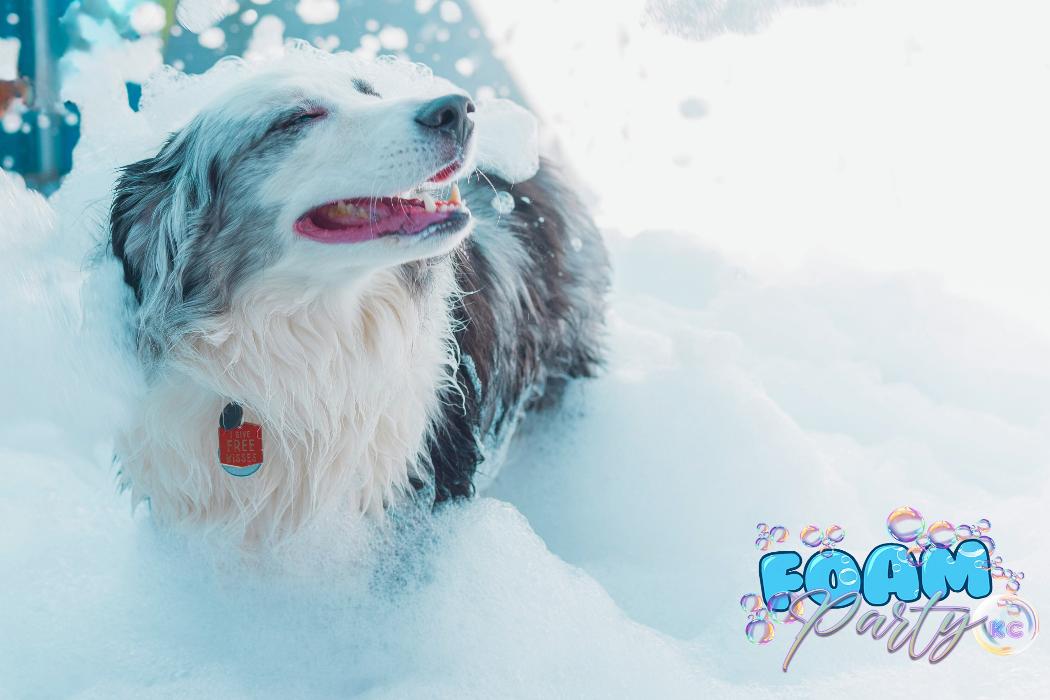 Foam Party KC - Overland Park, KS