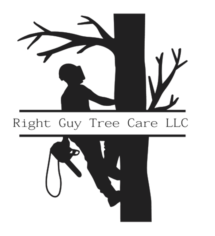 Right Guy Tree Care - Littleton, CO