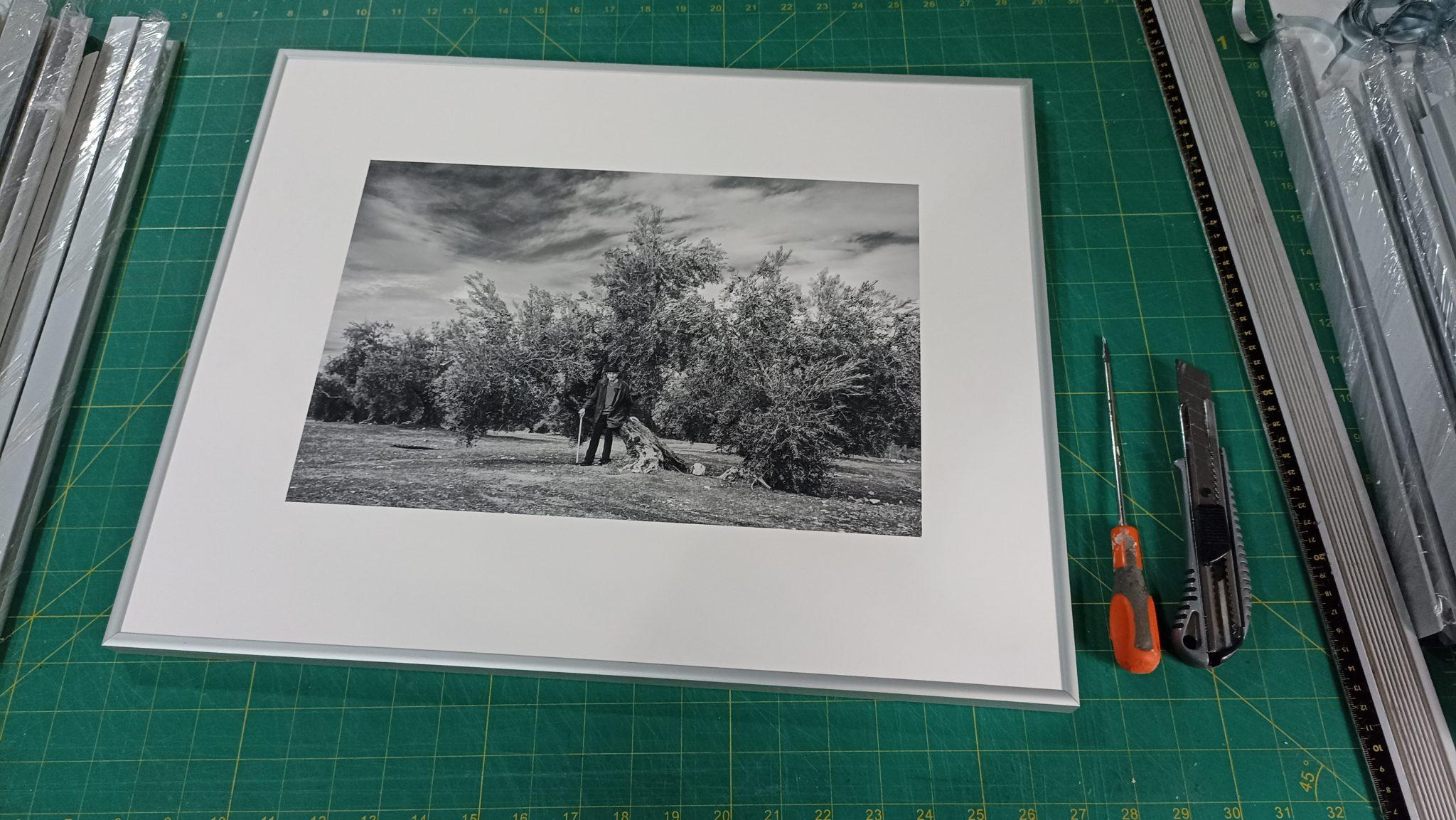 Galería en miniatura