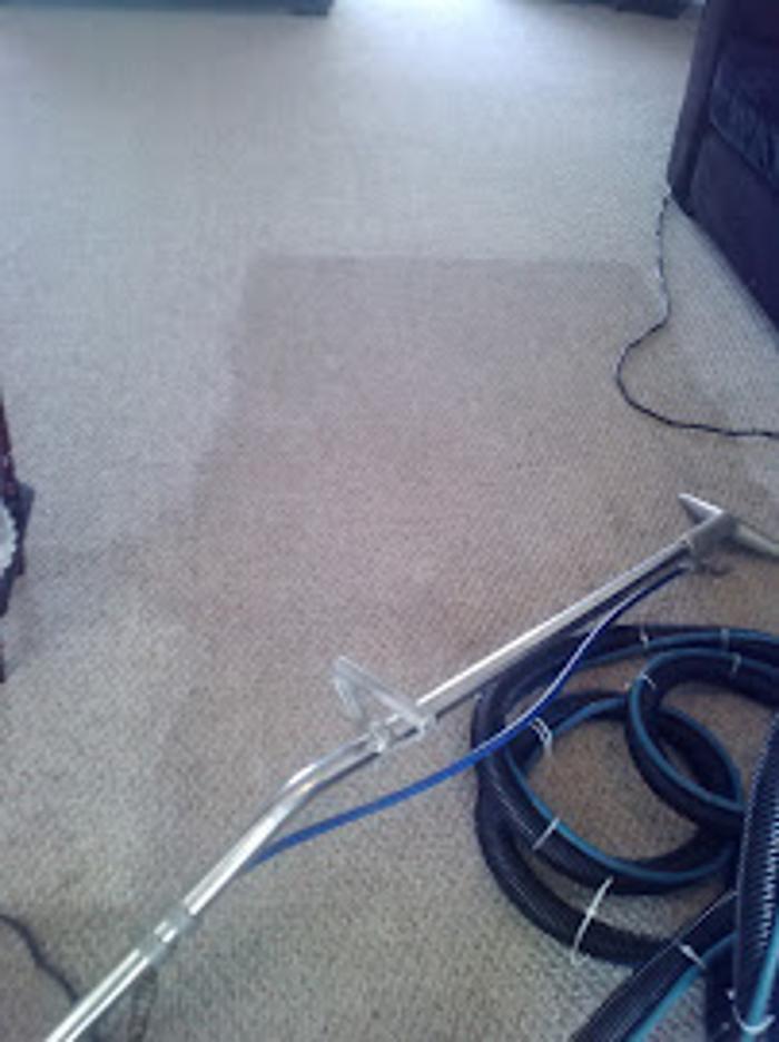 Gator Carpet and Tile Cleaning - Tarpon Springs, FL