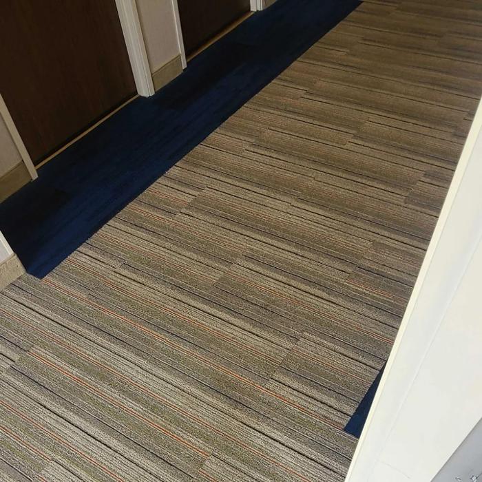 EVER/READY Carpet Cleaning Inc. - Rochester, MI