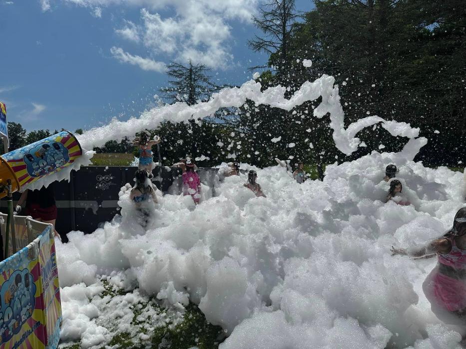 The Bounce House Party - Scranton - Scranton, PA