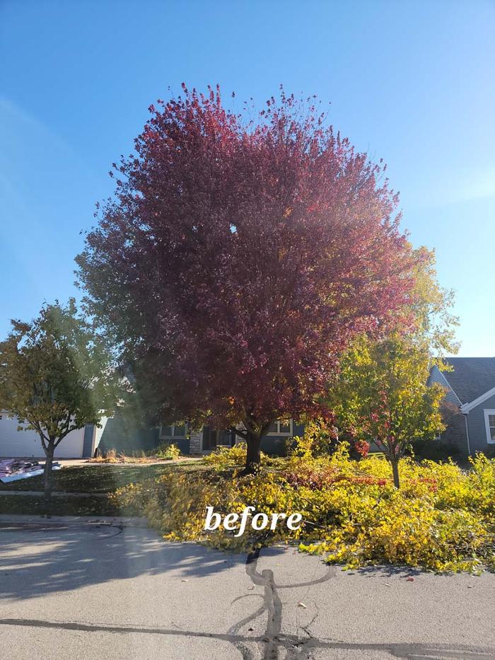 Stay Brush Tree Service & Landscaping - Waukesha, WI