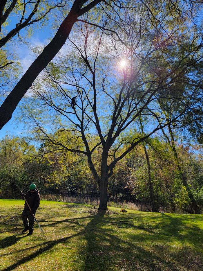 Stay Brush Tree Service & Landscaping - Waukesha, WI
