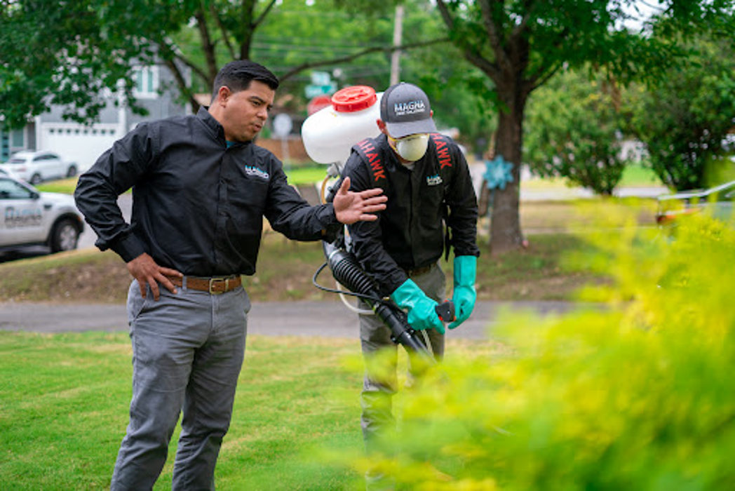 Magna Pest Solutions - Manvel, TX