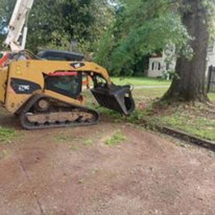 Chandler's Tree Service - Ponchatoula, LA