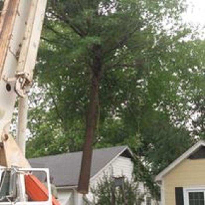 Chandler's Tree Service - Ponchatoula, LA