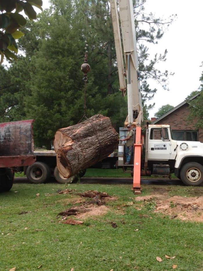 Chandler's Tree Service - Ponchatoula, LA
