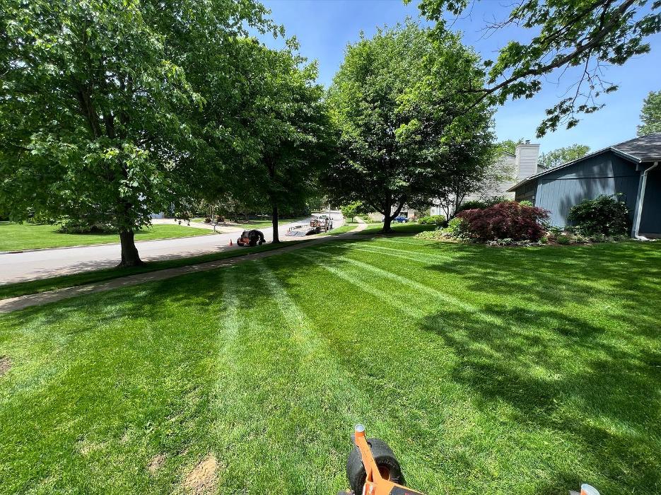 Hammond Landscape - Okemos, MI