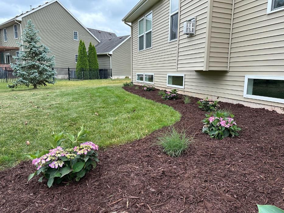 Hammond Landscape - Okemos, MI