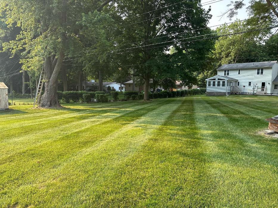 Hammond Landscape - Okemos, MI