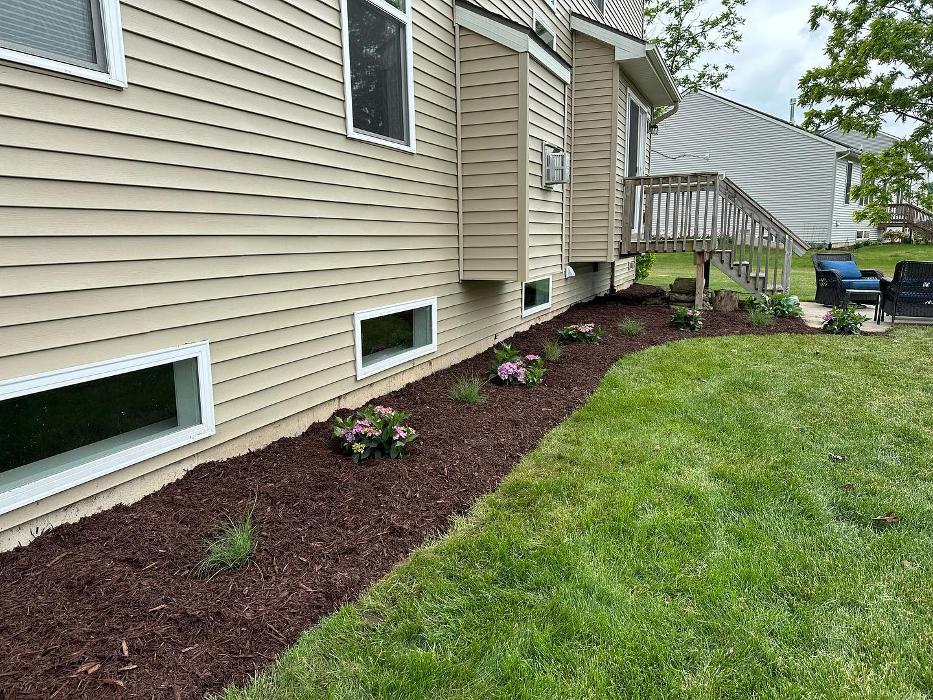 Hammond Landscape - Okemos, MI
