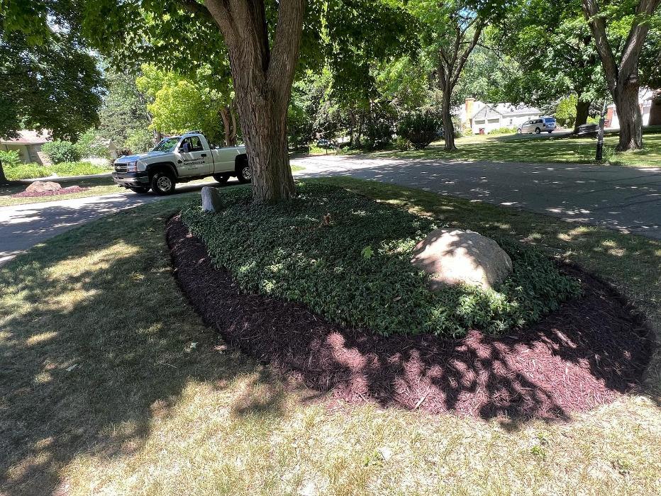 Hammond Landscape - Okemos, MI