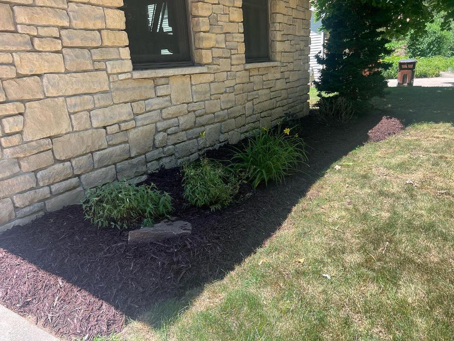 Hammond Landscape - Okemos, MI