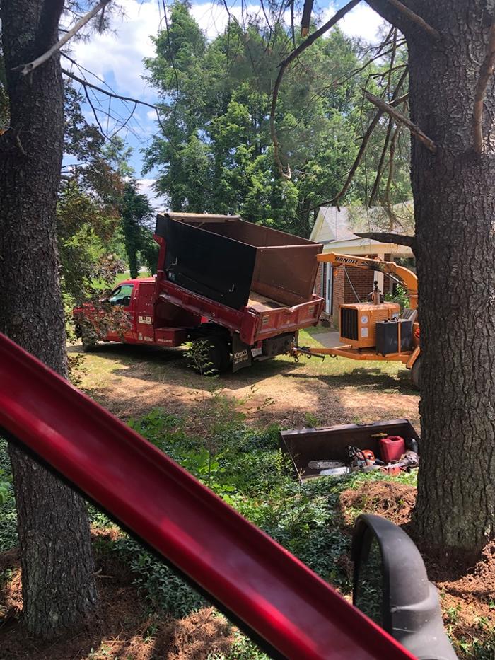 Kirby's tree and landscaping - Culpeper, VA