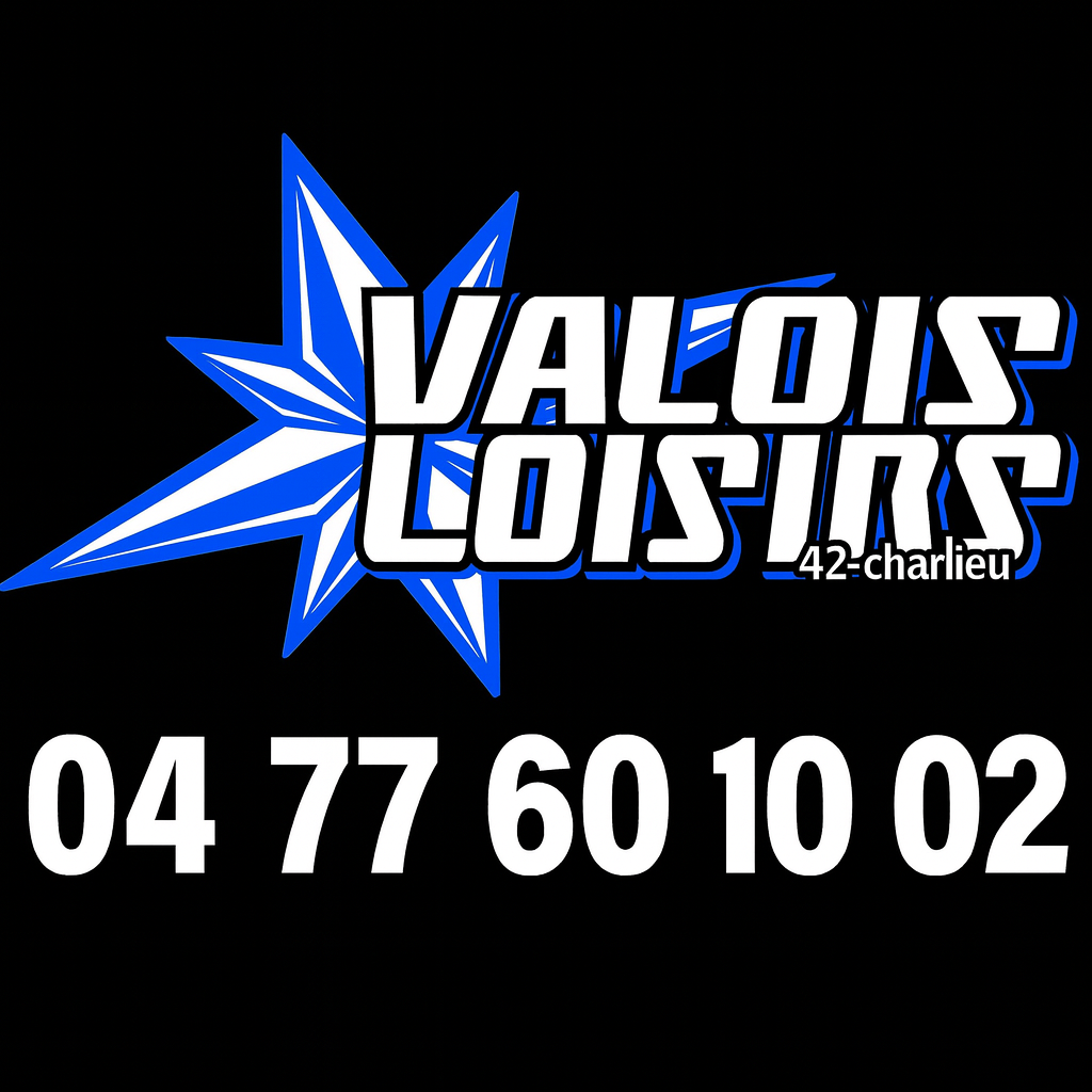 VALOIS LOISIRS garage d'automobile, réparation