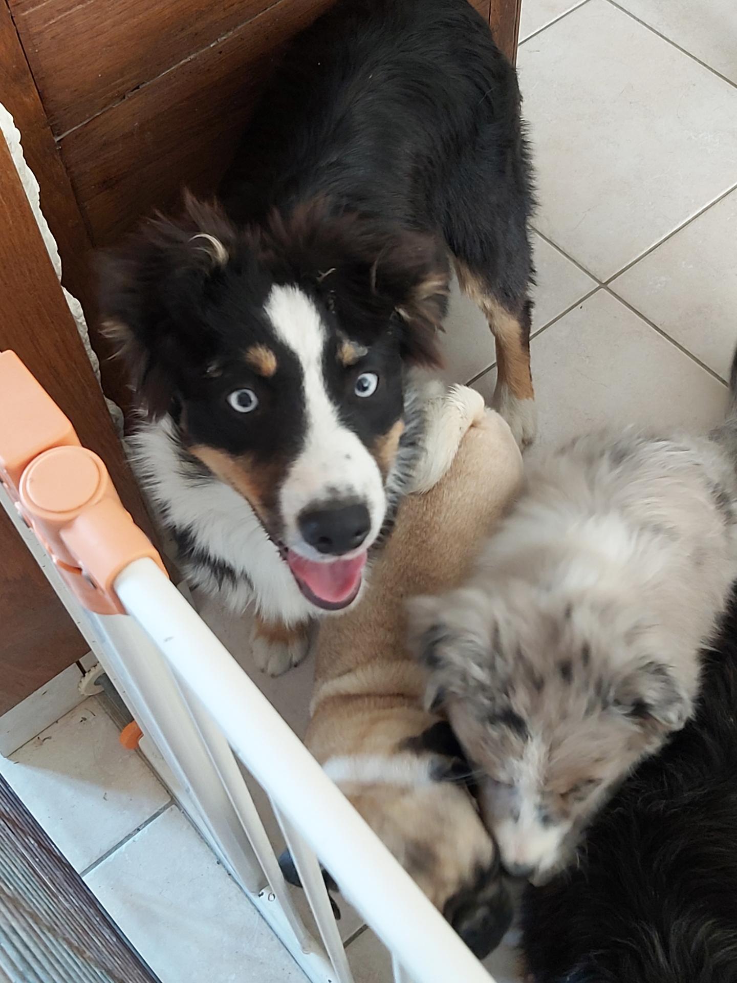 galerie image galerie image