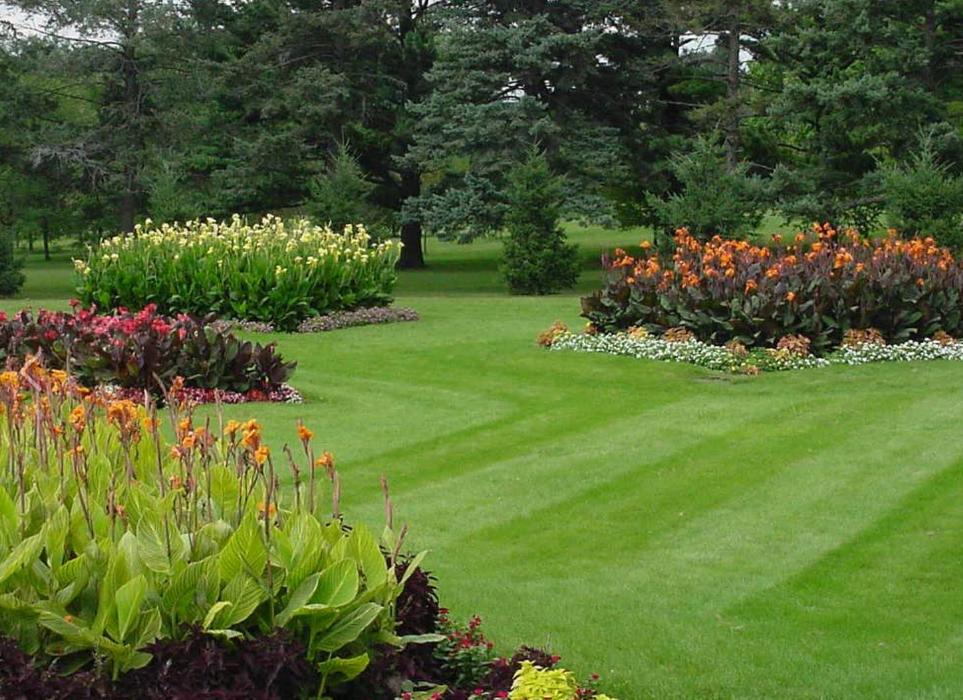 Buchanan Lawn and Tree Service - San Antonio, TX